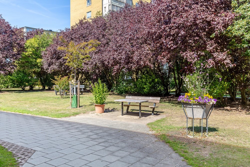 Norrbäcksgatan 21-20